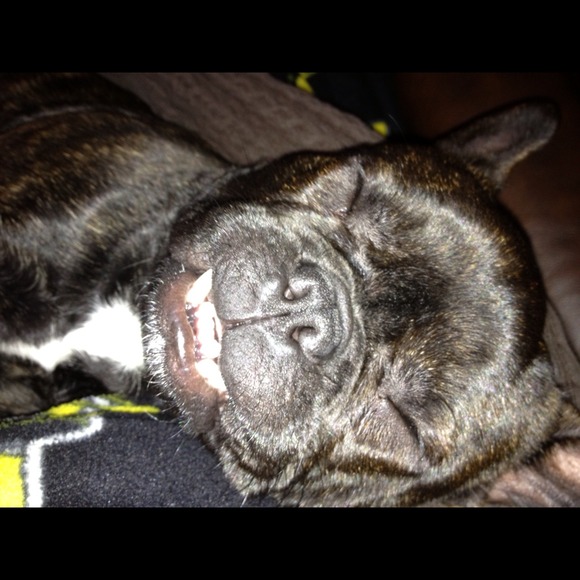 Happy Pepper!!! - Picture 1 of 1