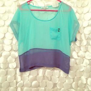 🚩Sold in bundle🚩 Mint&blue sheer top