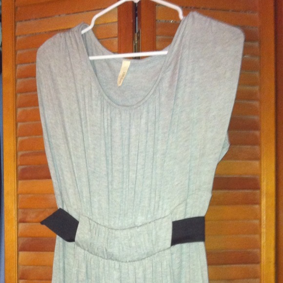 Wyatt Grey Cinched Waist Dress