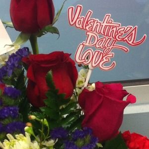 Bundle for britizzle