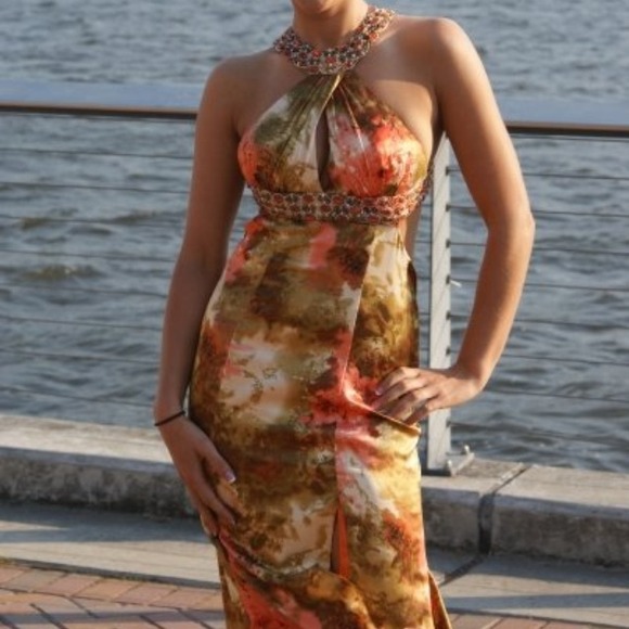 The most amazing dress I have ever owned!!!! - Picture 3 of 4