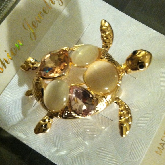 Stunning Turtle Brooch with Natural Stones.