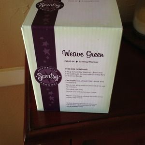 Scentsy plug in warmer