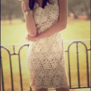 NWT - Famous Ann Taylor Vintage Floral Lace Sheath