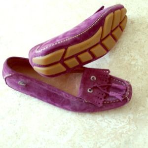 Purple suede Lacoste shoe