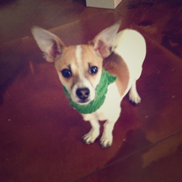 Lol thanks for the free gift. My Charlie loves it!