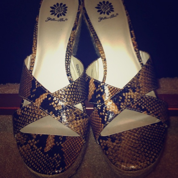 Yellow Box snakeskin shoes!
