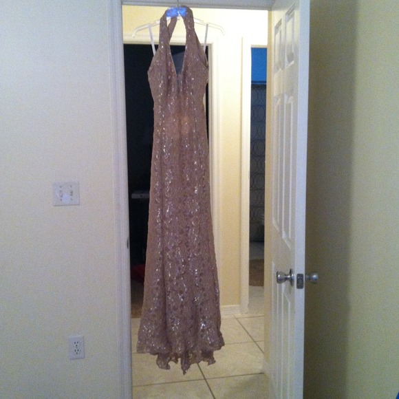 Nude and silver lace evening gown