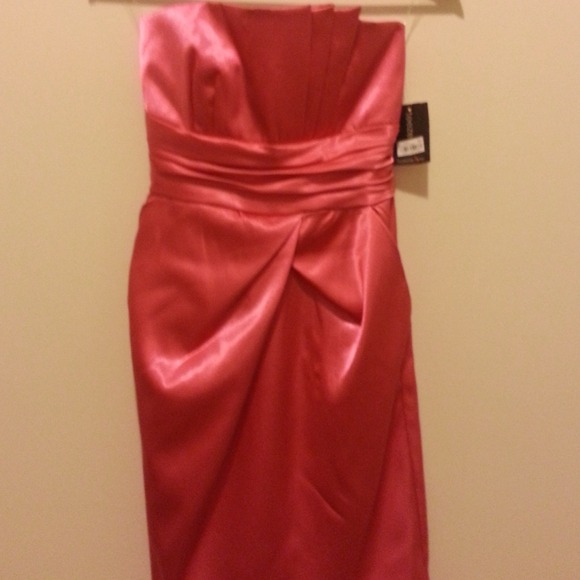 💥BRAND NEW💥Pink silk dress, two pockets.