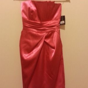 💥BRAND NEW💥Pink silk dress, two pockets.