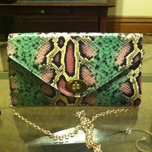 Multi colored snake print clutch