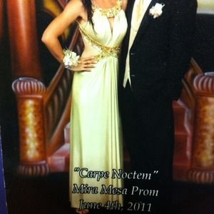 Used once. Great for prom, weddings, or pageants