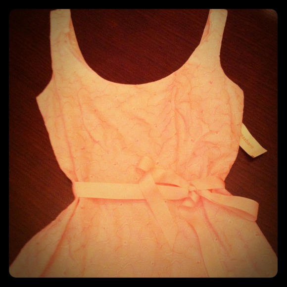 BNWT Dress barn pink dress with lining