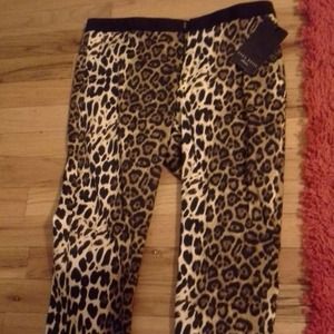 Zara Basic Collection