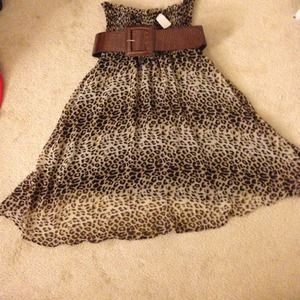 Cute and flirty leopard print dress with belt