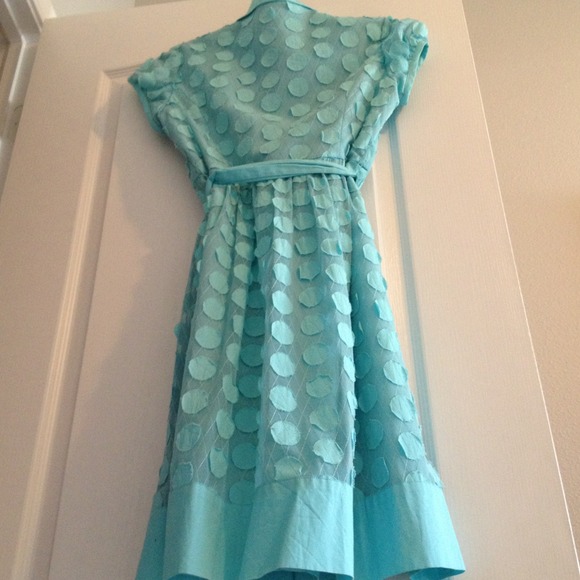 Gorgeous Aqua Button-down Adrianna Papell Dress - Picture 4 of 4