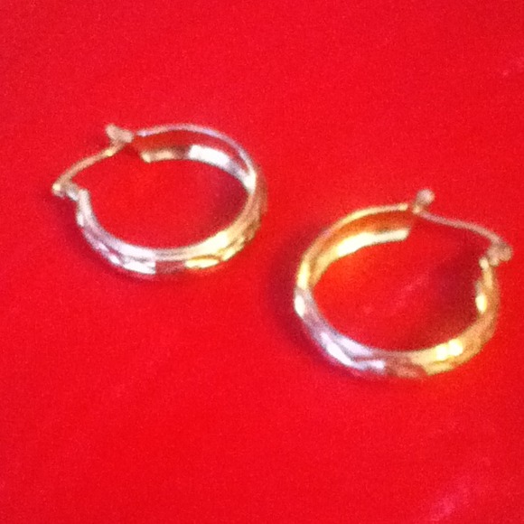 Small gold hoop ear rings