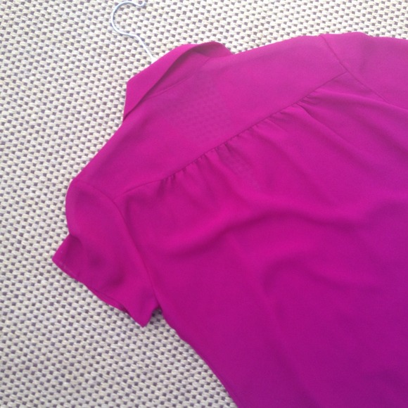 Vintage Magenta Sheer Blouse - Picture 4 of 4