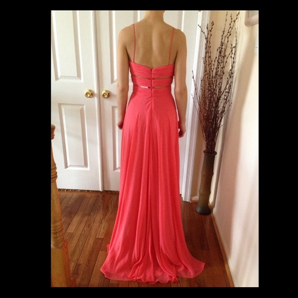 Caché Coral Gown - Picture 2 of 4