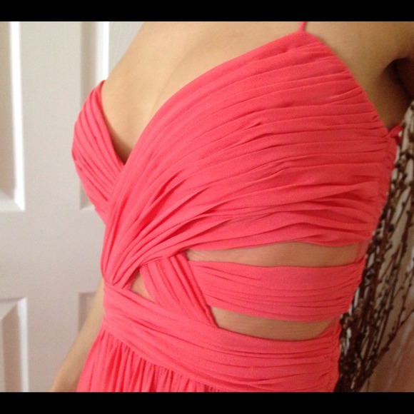 Caché Coral Gown - Picture 3 of 4