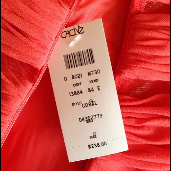 Caché Coral Gown - Picture 4 of 4