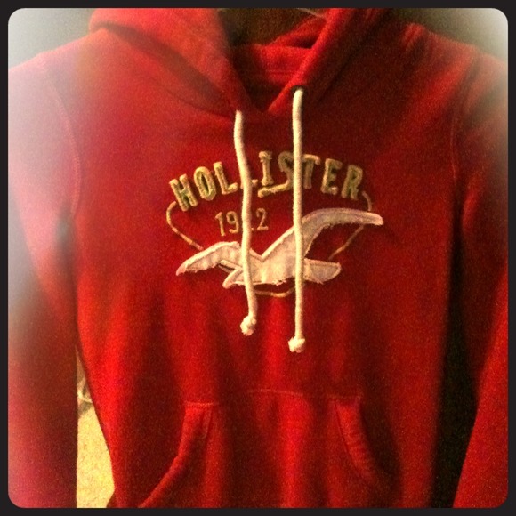 Pink Preowned Hollister Hoodie