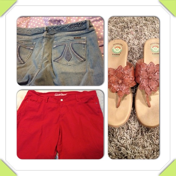 Bundle for Dana