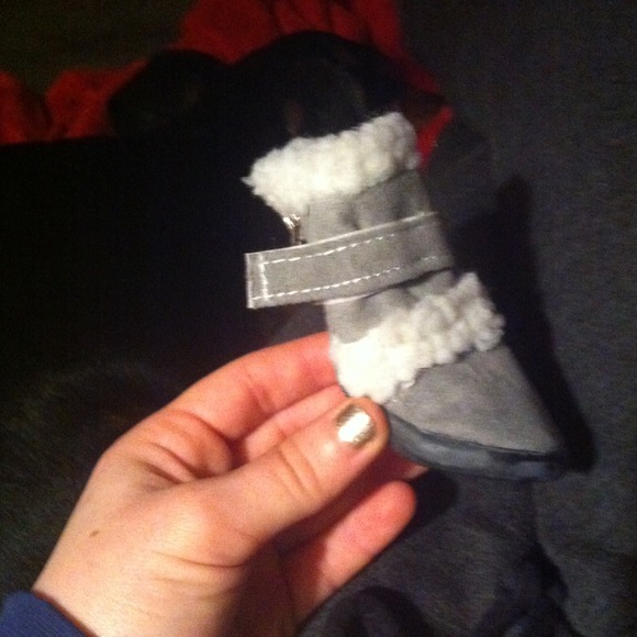 XS puppy boots.