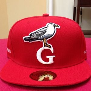 Govern Apparel Fitted Hat