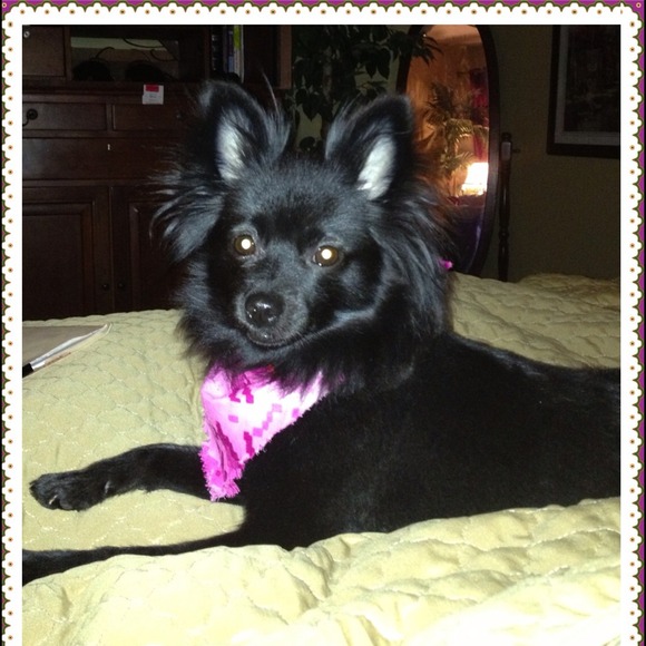 My baby Foofie