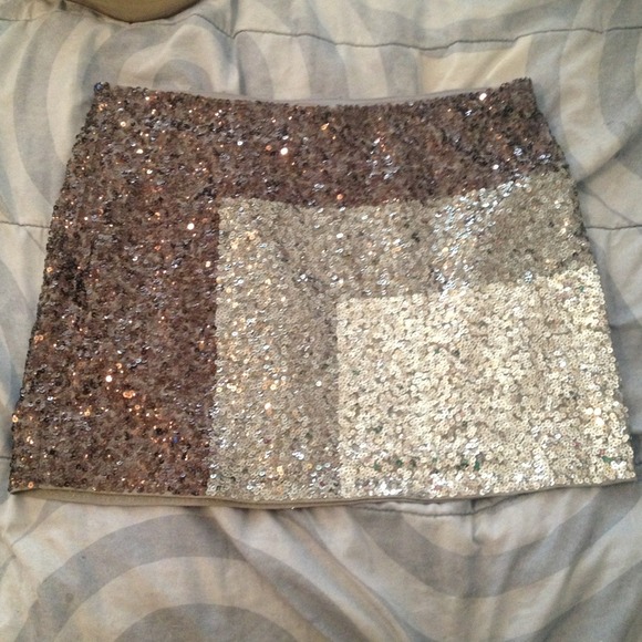Express skirt