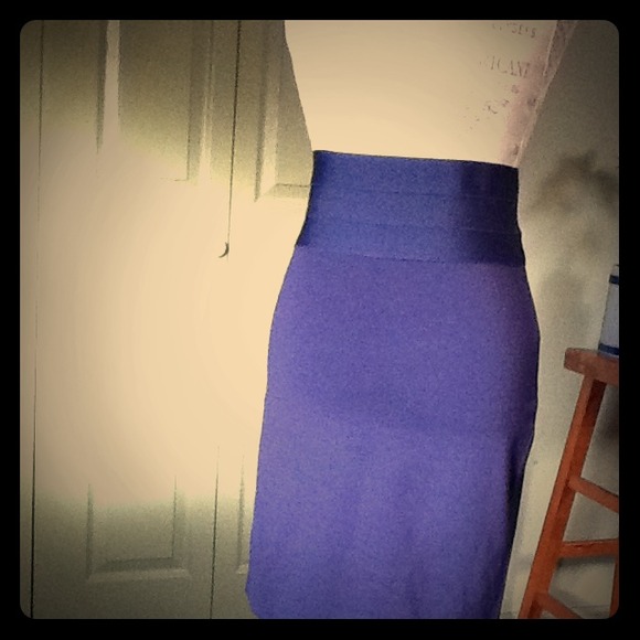 Max Studio form-fitting skirt