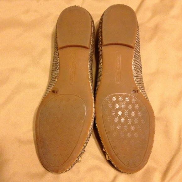 SOLD.....Antonio melani flats❤😇 - Picture 2 of 3