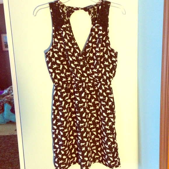 little black cat dress