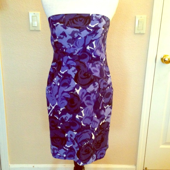Ann Taylor Blue Floral Dress