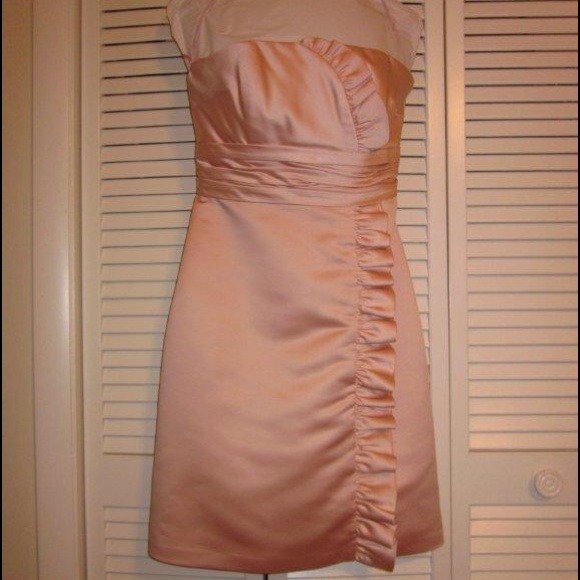 Priscilla of Boston Champagne Pink Dress - Picture 2 of 3