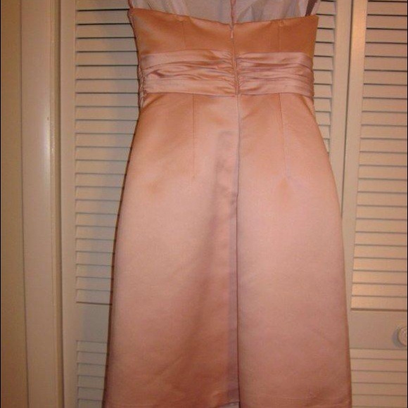 Priscilla of Boston Champagne Pink Dress - Picture 3 of 3