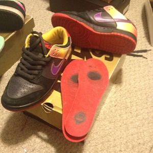 Nike SBs "appetite for destructions" "07"