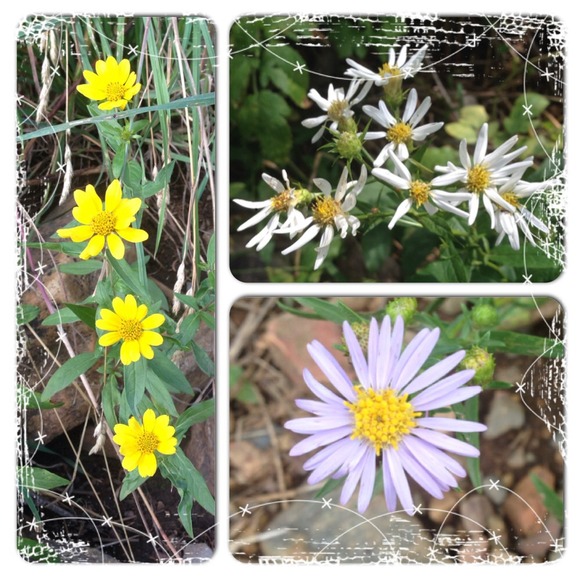 A little about me... - Picture 4 of 4