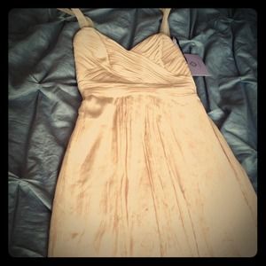 Vera Wang Lavender Label chiffon and silk gown