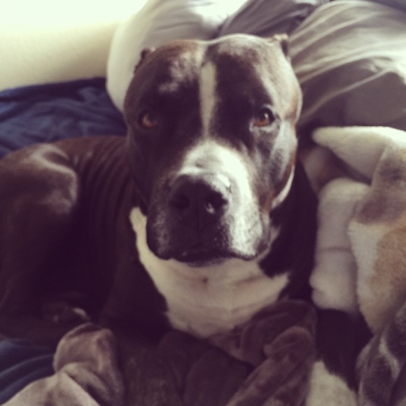 Meet your seller! - Picture 3 of 4