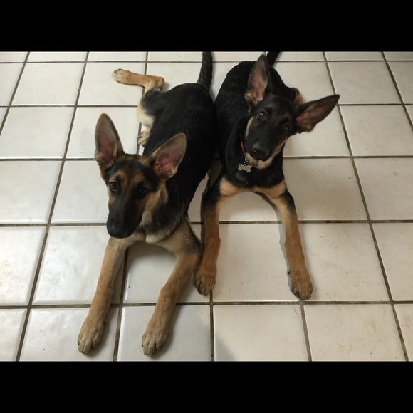 Meet your seller! - Picture 4 of 4