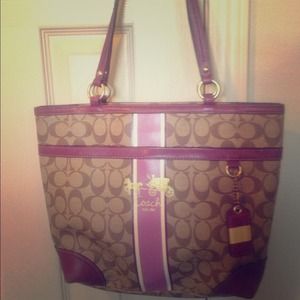 Coach Stripe Tote and wristlet bundle!