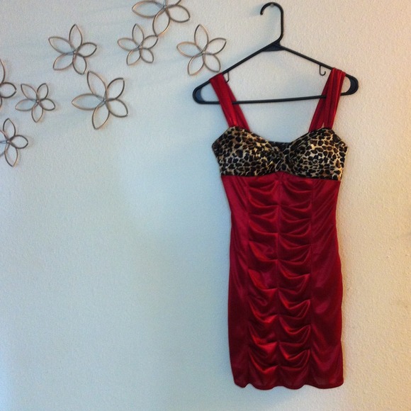 Gorgeous deep red and leopard silk dress