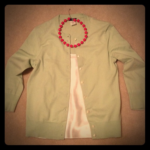 J Crew sweater