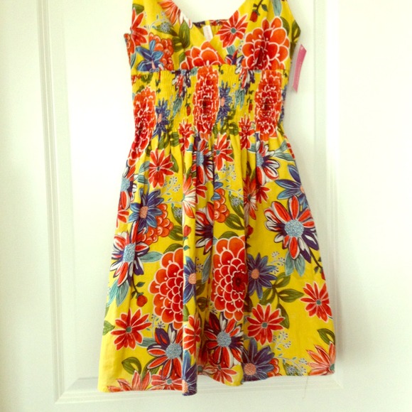 Summer dress / new with tags $15