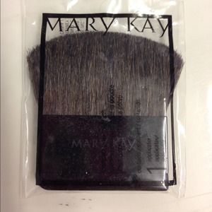 Mary Kay blush brush