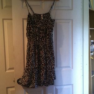 Asos curvy zebra print dress
