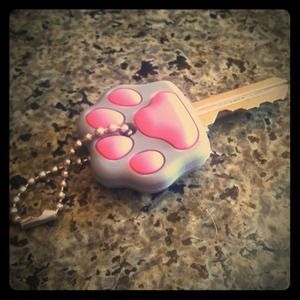 Cute pink/grey puppy dog paw key cover