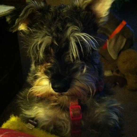 💖COME SEE MY MOM'S CLOSET🍥 - Picture 1 of 1